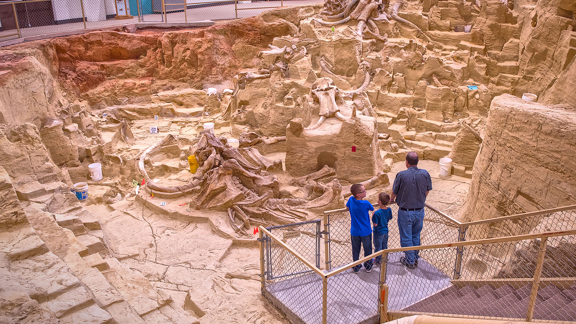 Mammoth Site