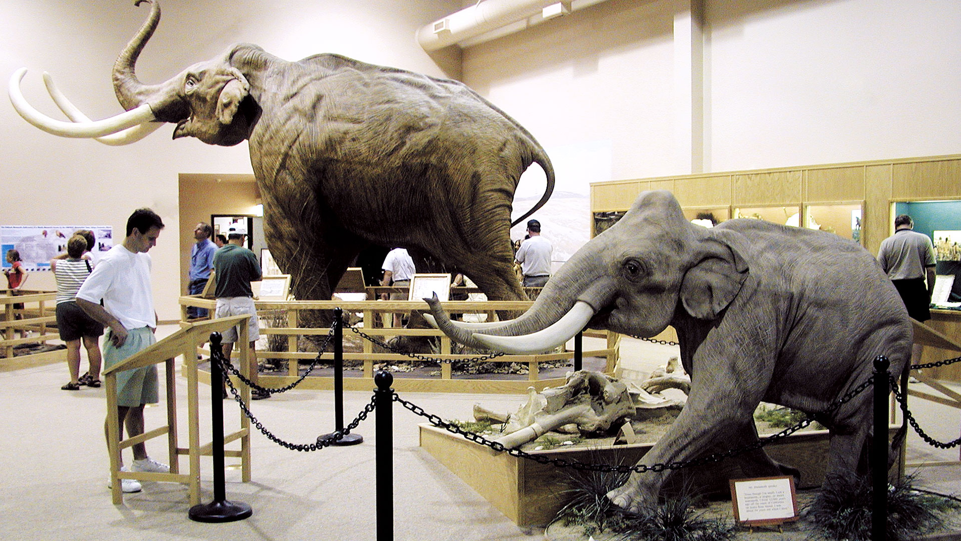 Mammoth Site