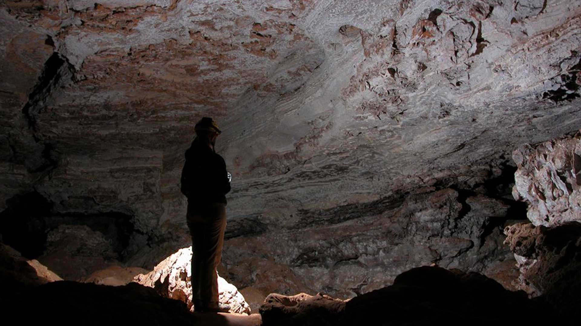 Wind Cave National Park – Black Hills Visitor