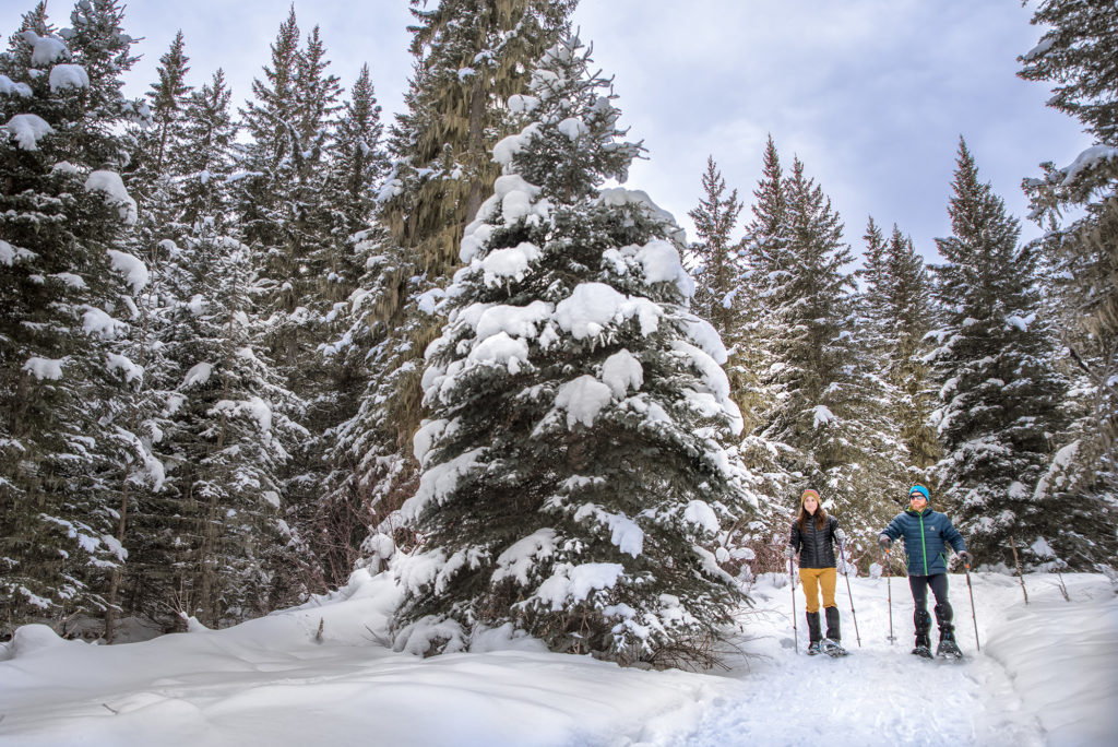 Winter Activities in the Black Hills – Black Hills Visitor