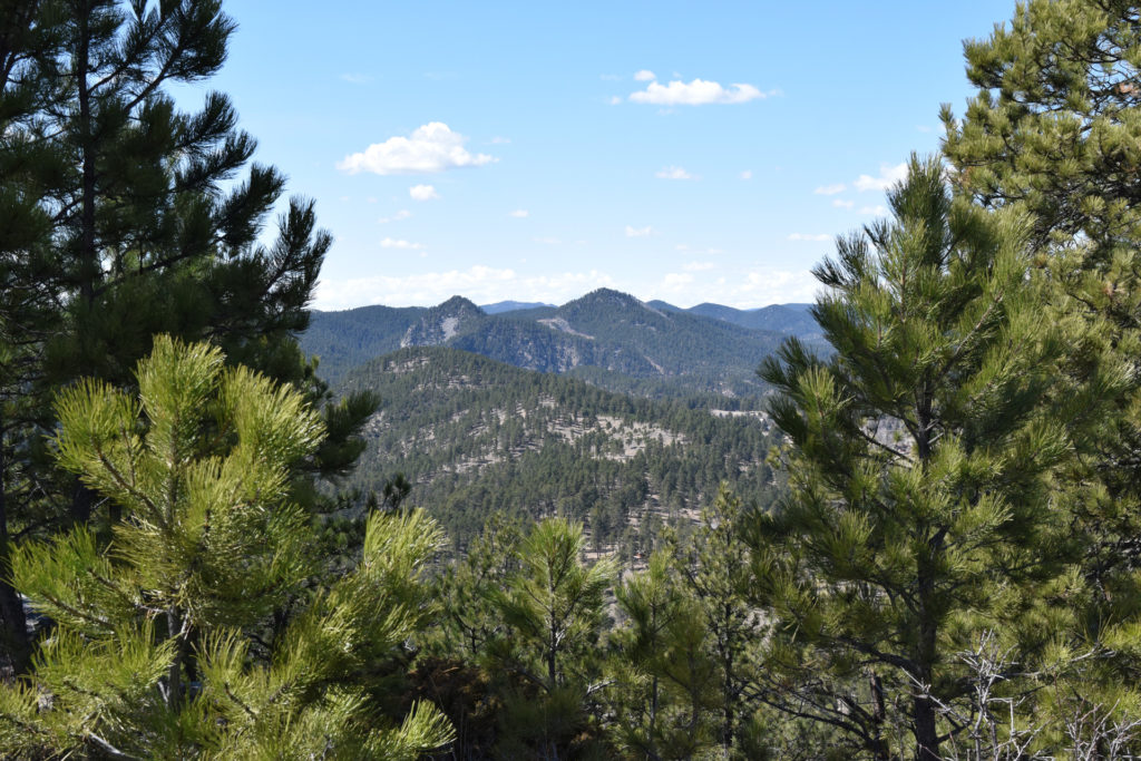 Take a Hike: Buzzard's Roost – Black Hills Visitor