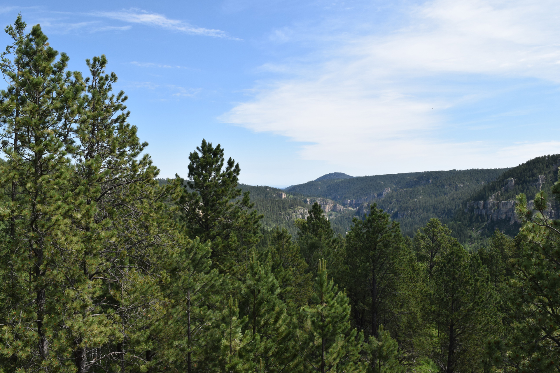 Take a Hike: 76 Trail – Black Hills Visitor