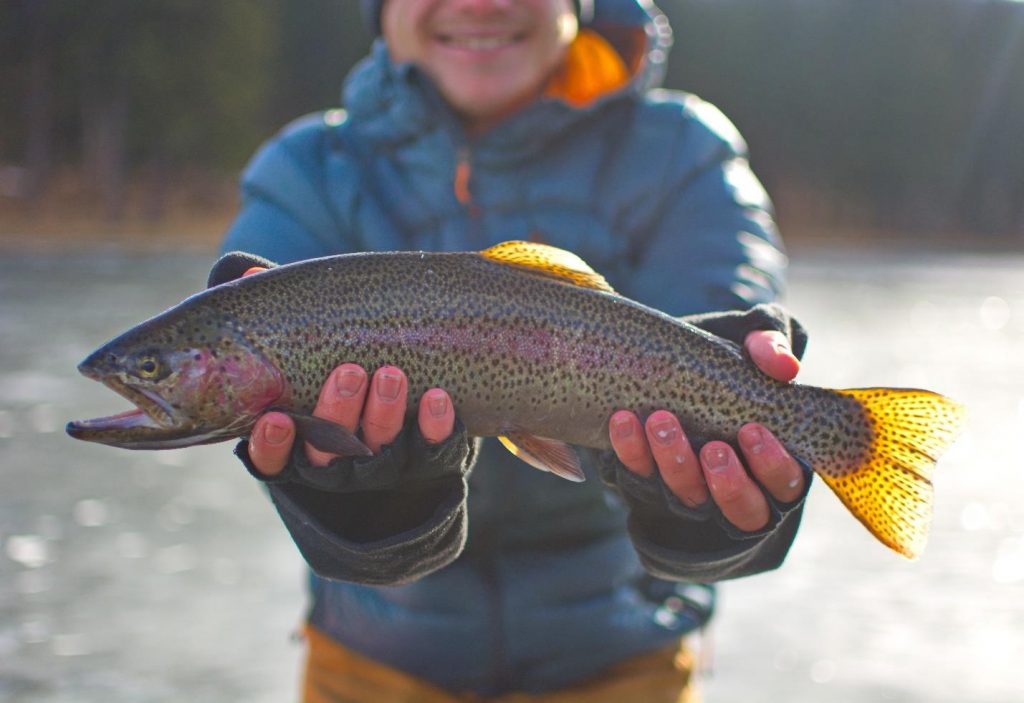 Top Fishing Spots in the Black Hills Black Hills Visitor